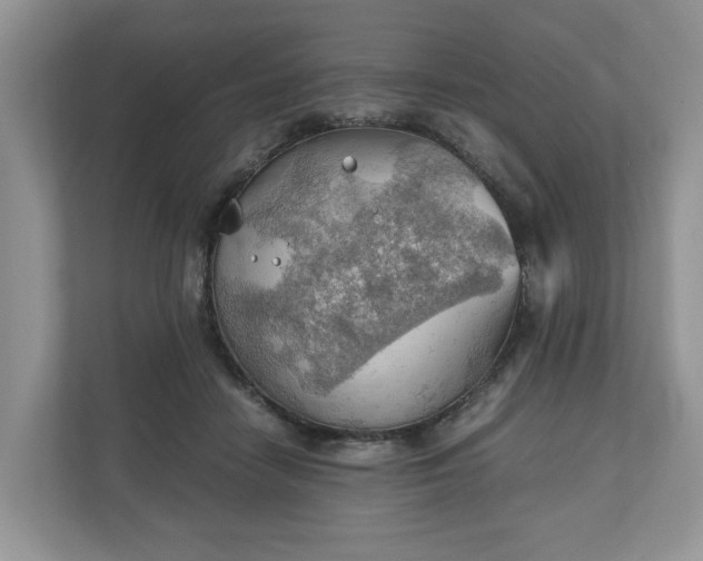 X0000111030458200907021541