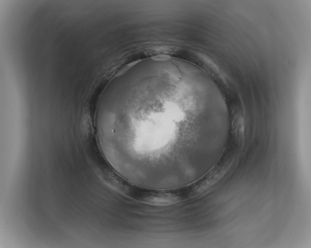 X0000111030459200907021541