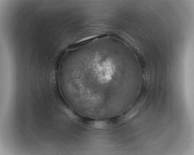 X0000111030462200907021542