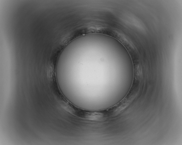 X0000111030463200907021542