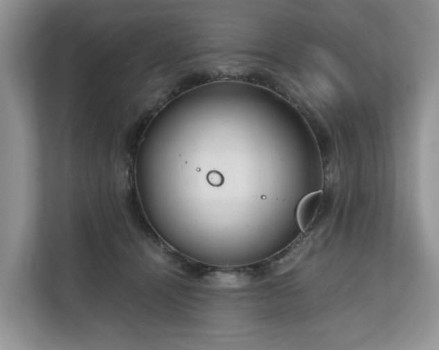 X0000111030464200907021542