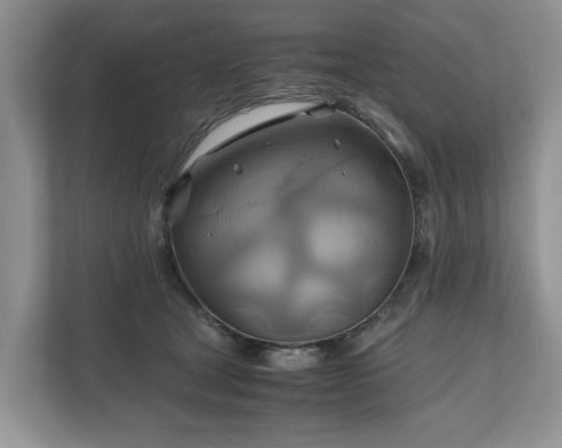 X0000111030465200907021542