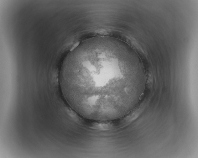 X0000111030466200907021542