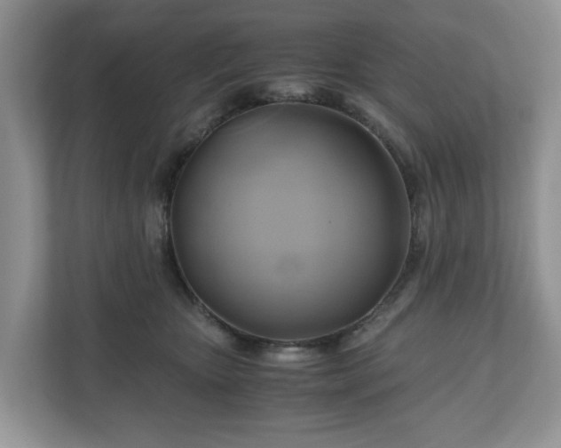 X0000111030467200907021542