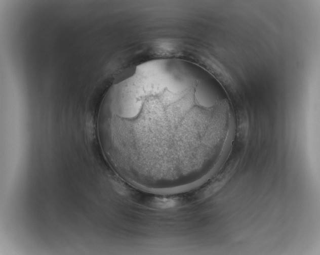 X0000111030469200907021542