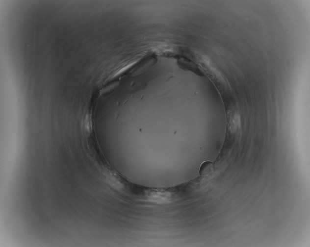 X0000111030471200907021542