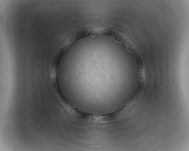 X0000111030472200907021542