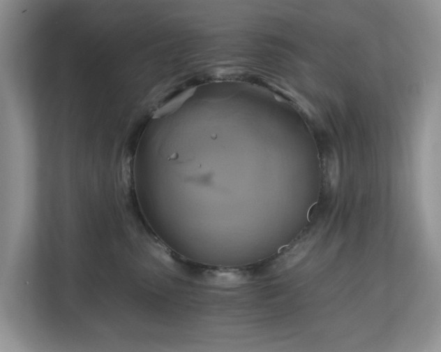 X0000111030475200907021542