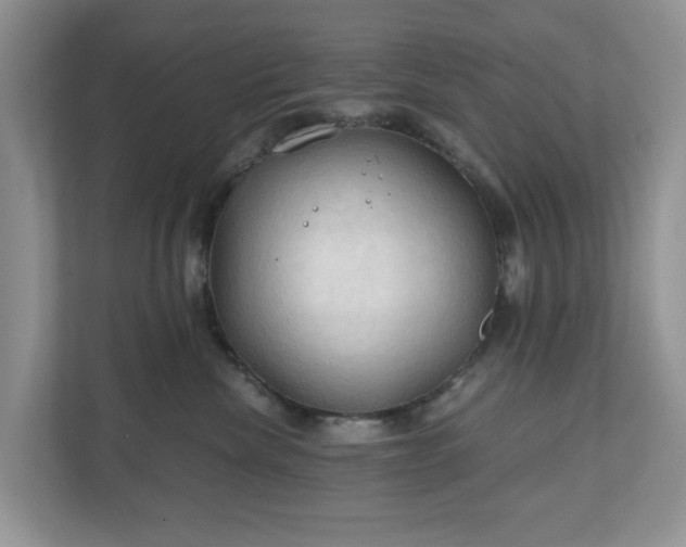 X0000111030476200907021542