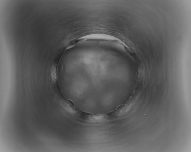 X0000111030479200907021542