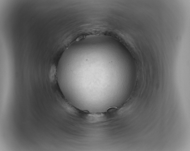 X0000111030480200907021542