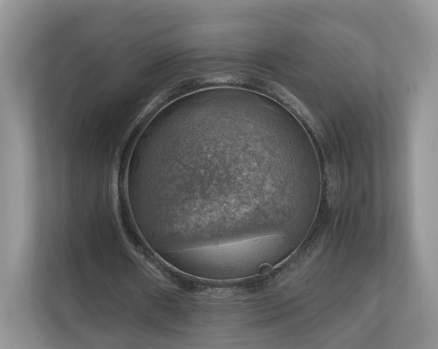 X0000111030482200907021541