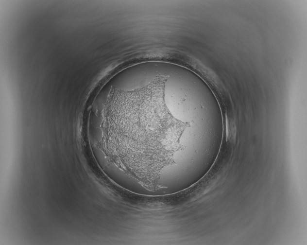 X0000111030483200907021541
