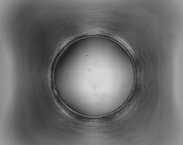 X0000111030485200907021541