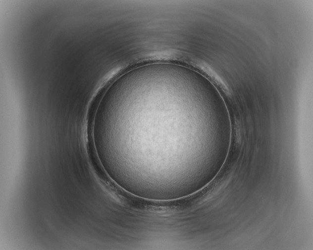 X0000111030486200907021541