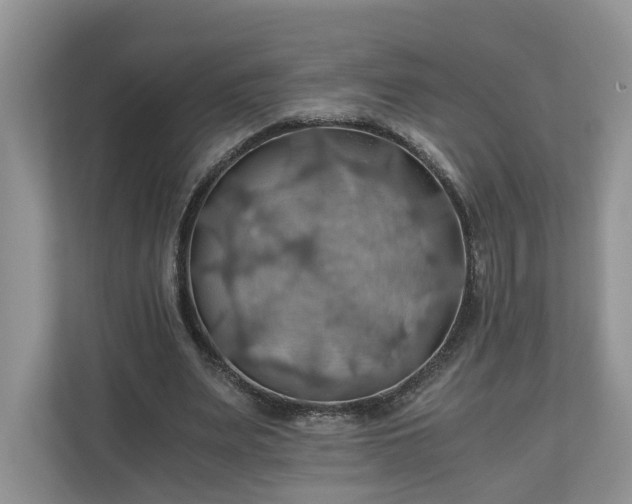 X0000111030487200907021541