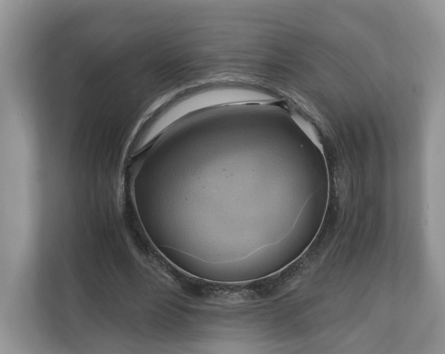 X0000111030488200907021541