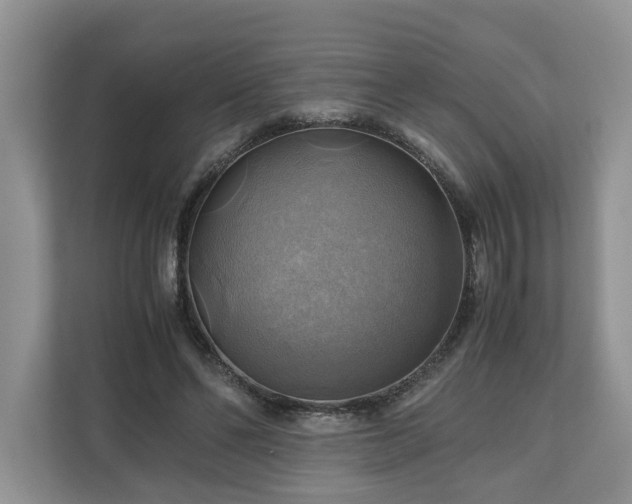 X0000111030494200907021541