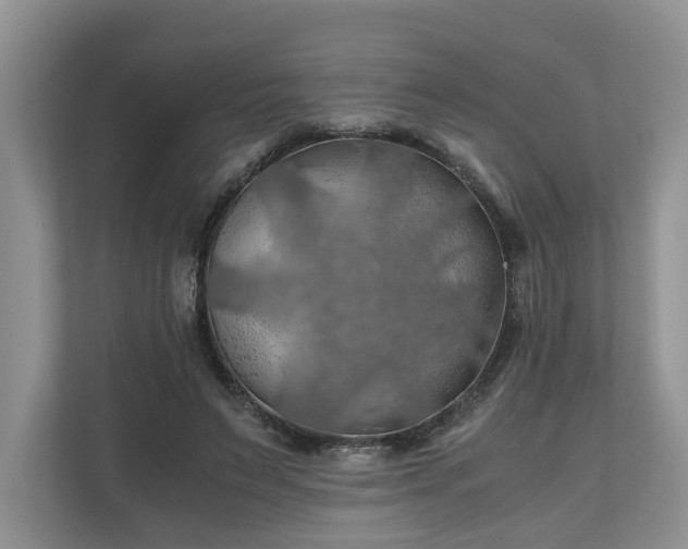 X0000111030495200907021541
