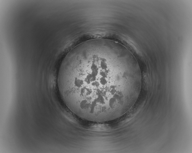 X0000111030499200907021541