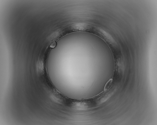 X0000111030500200907021541