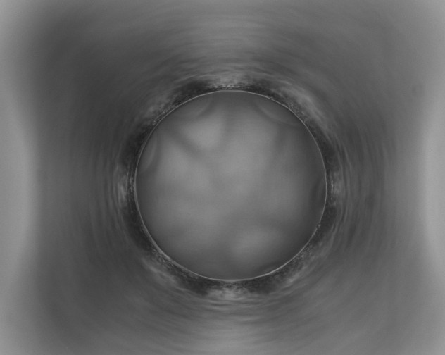 X0000111030503200907021541
