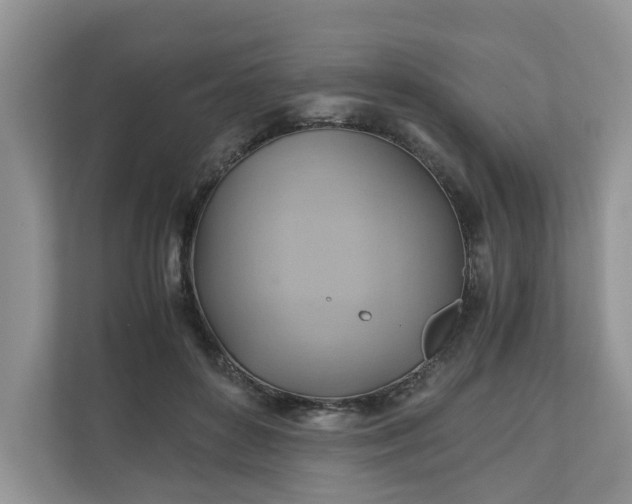 X0000111030504200907021541