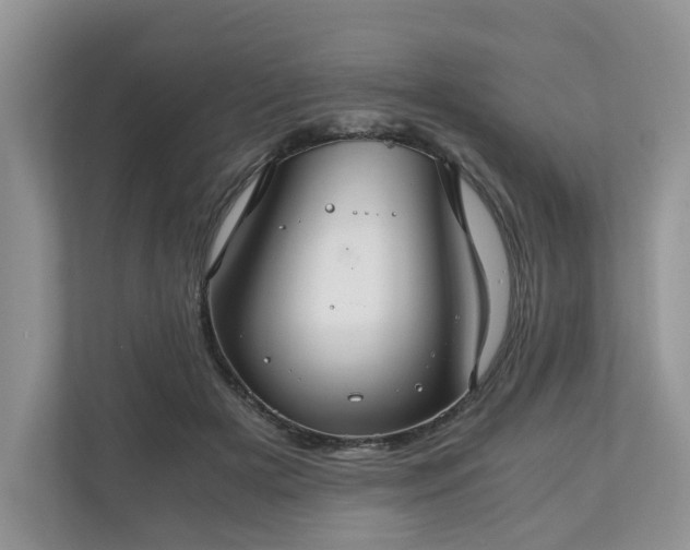 X0000111030505200907021541