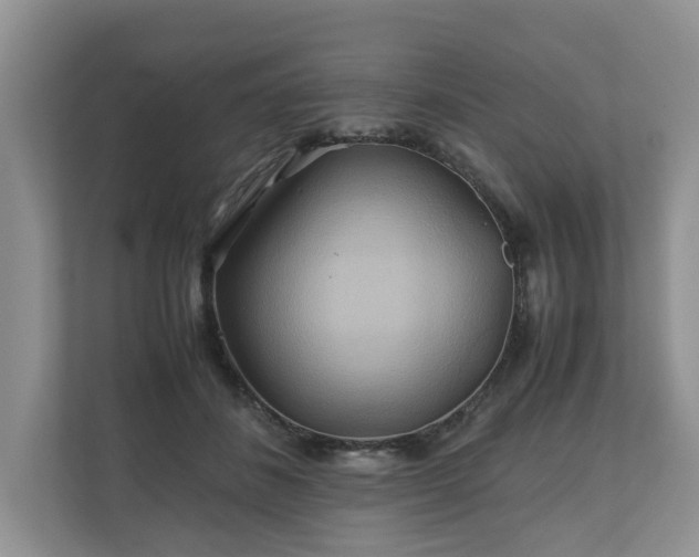 X0000111030508200907021541