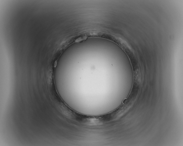 X0000111030509200907021541