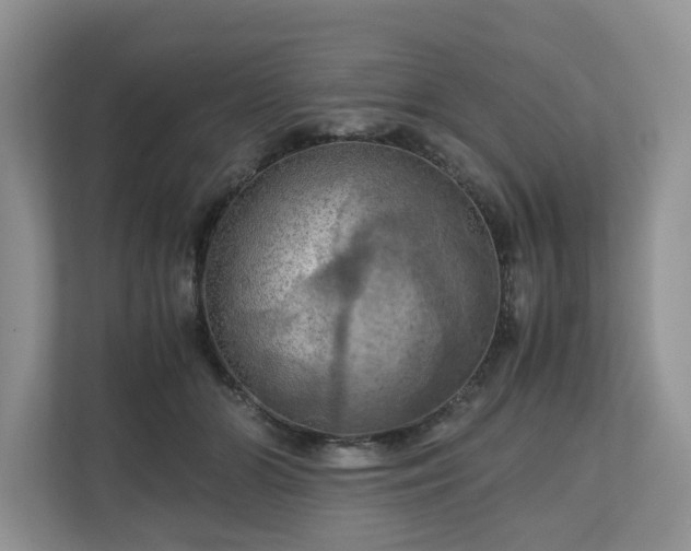 X0000111030510200907021541