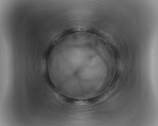 X0000111030511200907021541