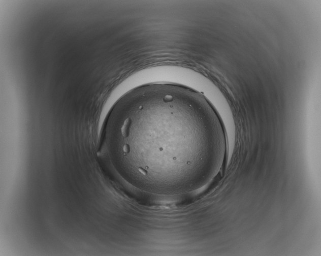 X0000111030512200907021541