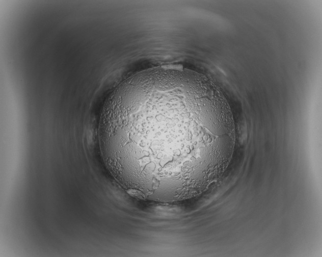 X0000111030515200907021541