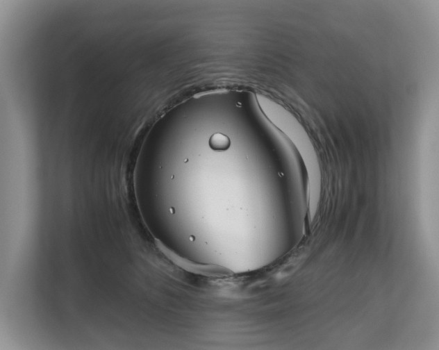 X0000111030516200907021541