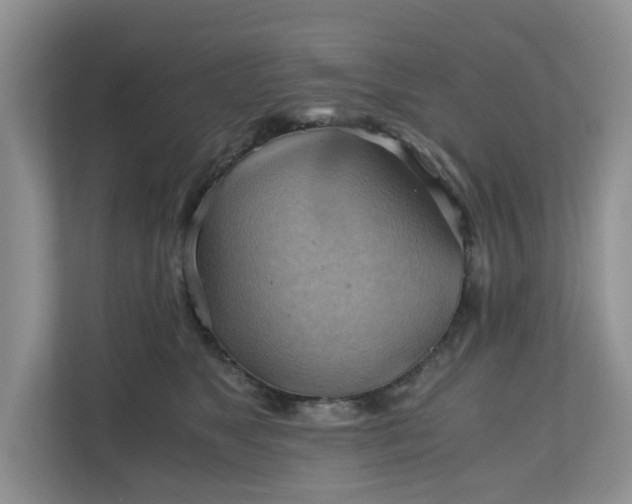 X0000111030517200907021541