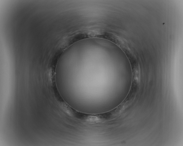 X0000111030519200907021541