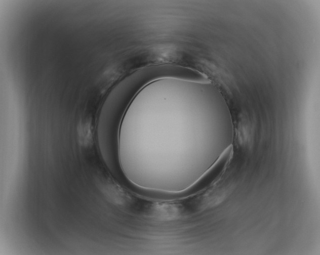 X0000111030520200907021541