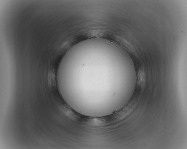 X0000111030522200907021541