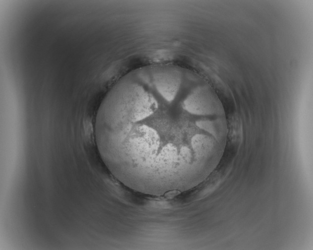 X0000111030523200907021541