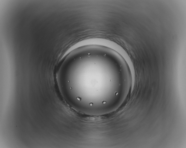 X0000111030524200907021541
