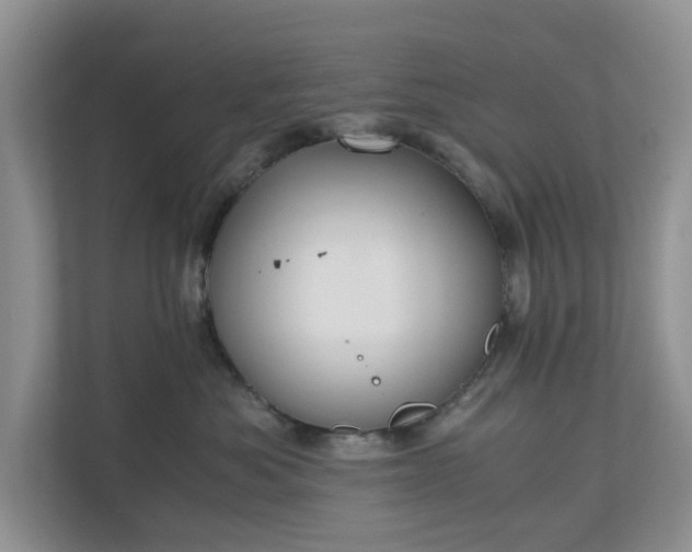 X0000111030525200907021541