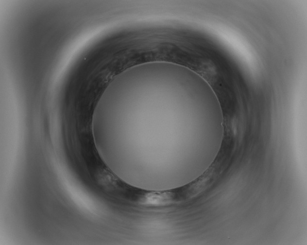 X0000111030526200907021541