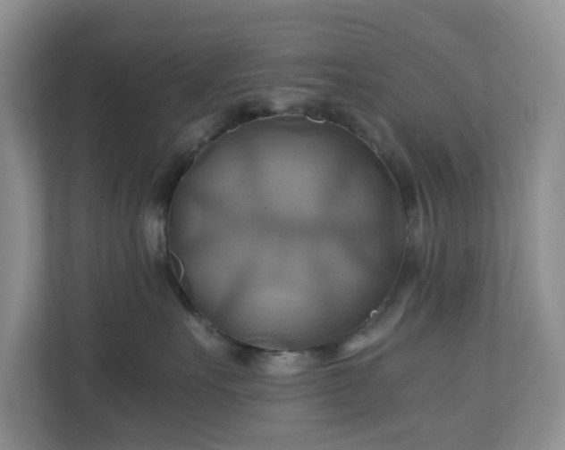 X0000111030527200907021541