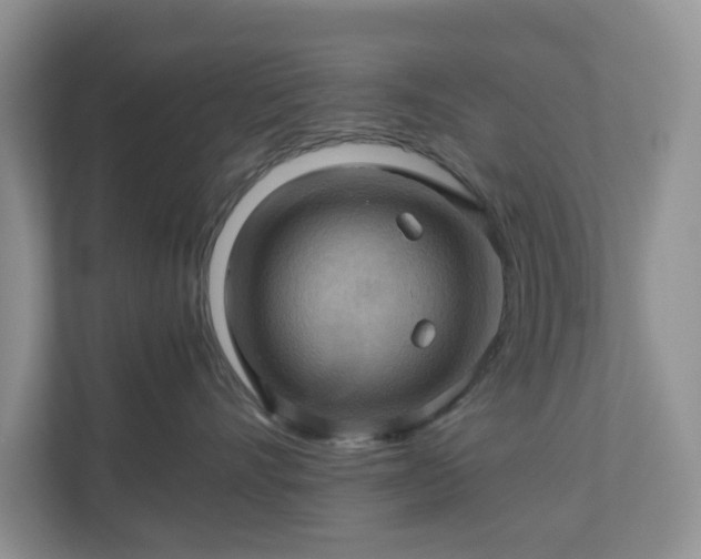 X0000111030528200907021541