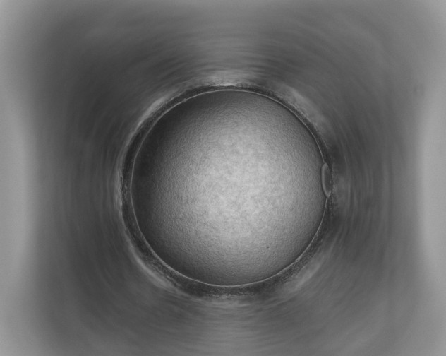 X0000111030530200907021540