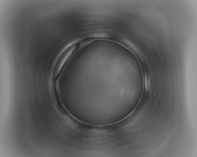 X0000111030531200907021540