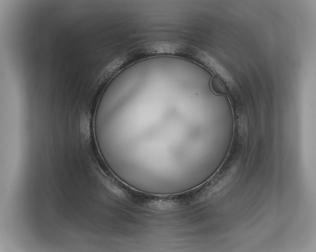 X0000111030537200907021540