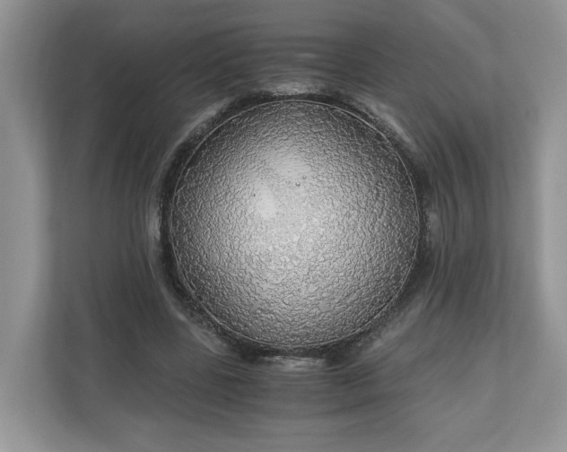X0000111030539200907021540