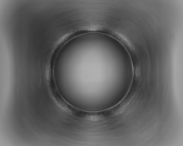 X0000111030540200907021540